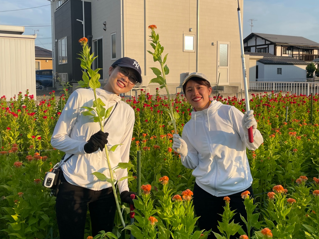 �Ă͋G�߂̂��Ԃ̎��n���ł��܂�