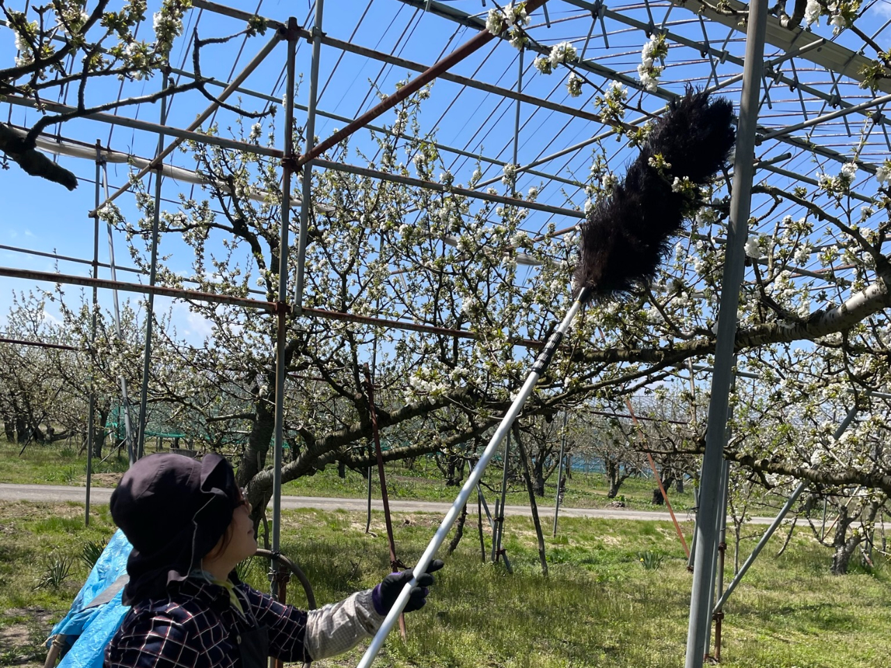 自然体験】にこにこ農業体験365/株式会社芳賀にこにこ農園 Haga