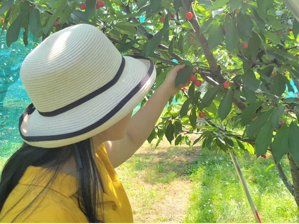 �҂��ɑ҂������n�̓�