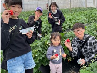 いちご狩り