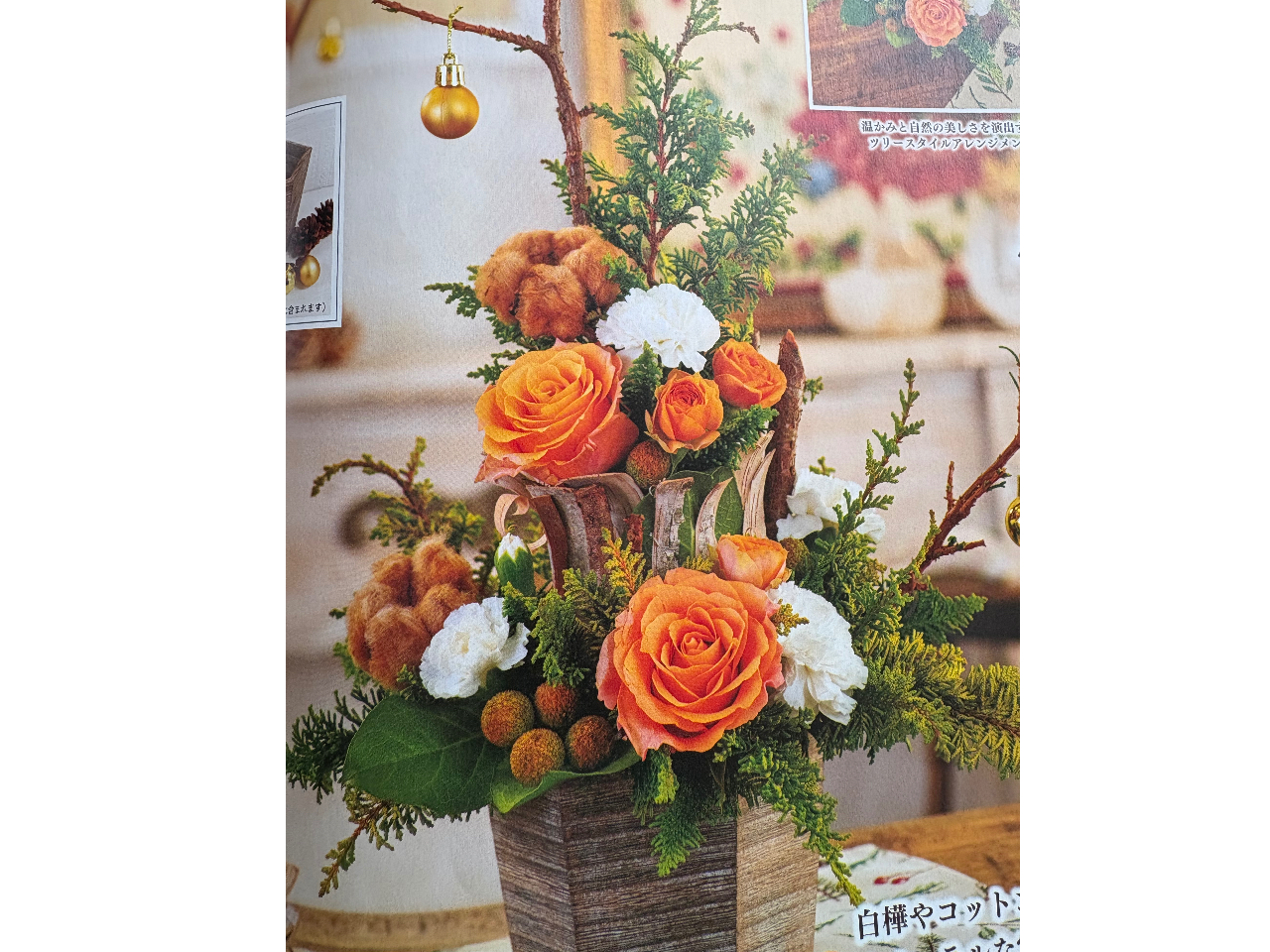 12��16���͋G�߂̃A�����W�����g�B