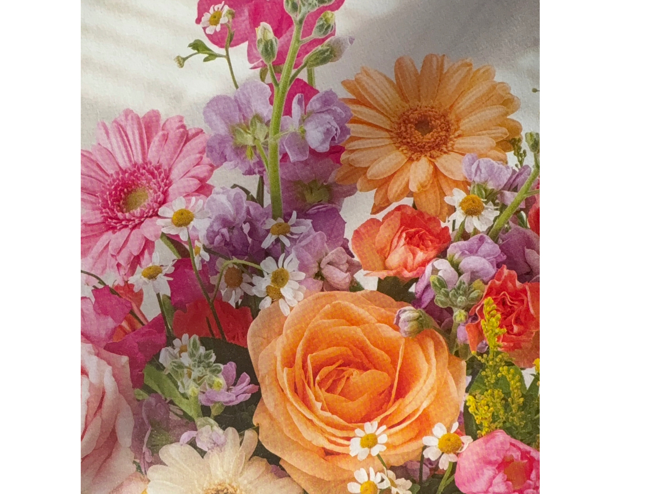 1/27����̏T�̓i�`�������X�e���u�[�P�ł��B�t����肵���悤�ȃJ���t���ȉԍނł��B