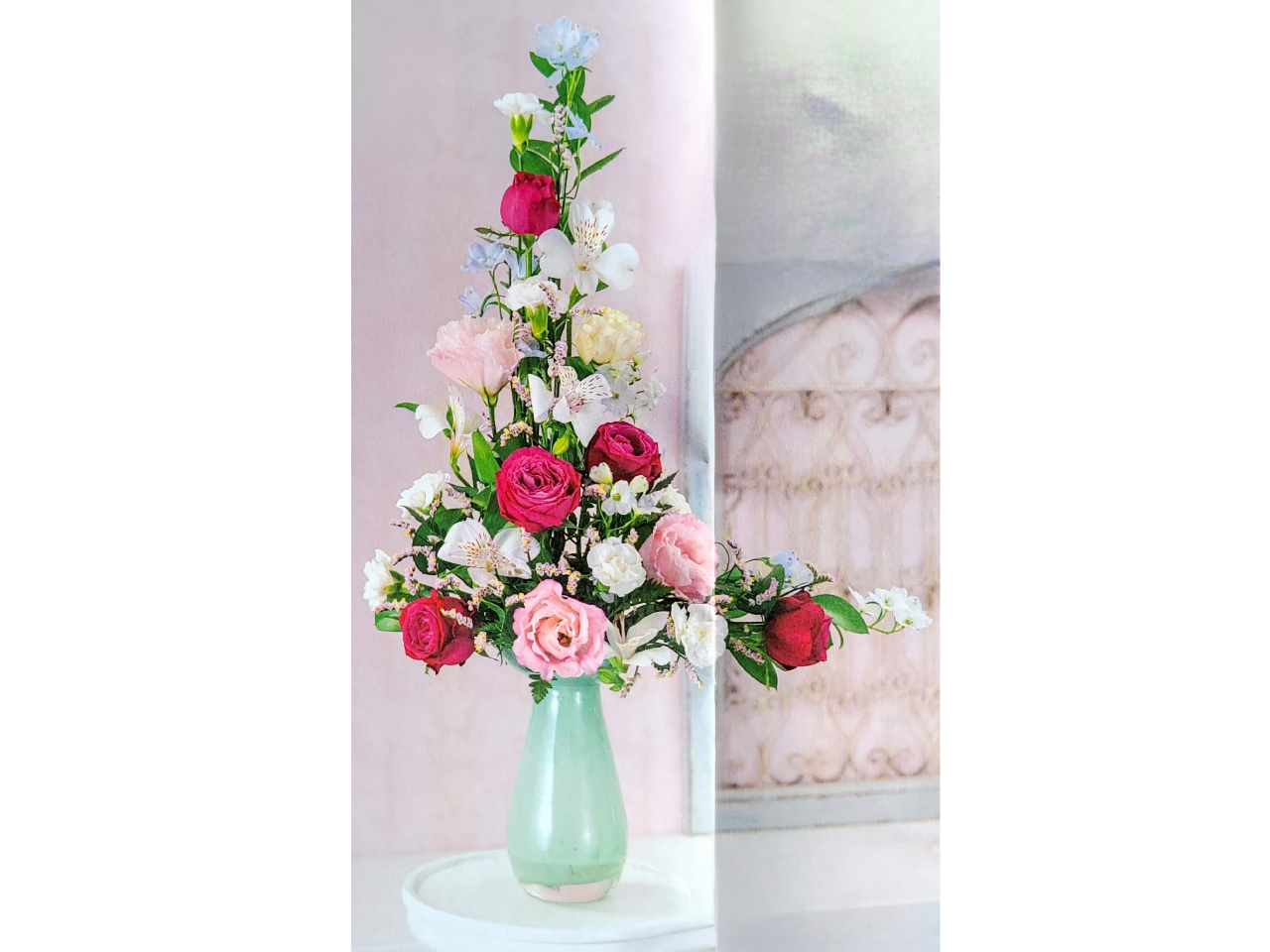 5/19?5/25 �G���V�F�[�v