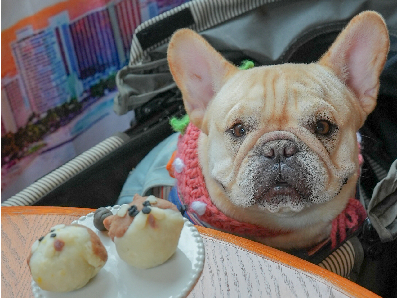 ȂBZ񂪍ASS񂱂̗؂[ƒ߂Ă܂B