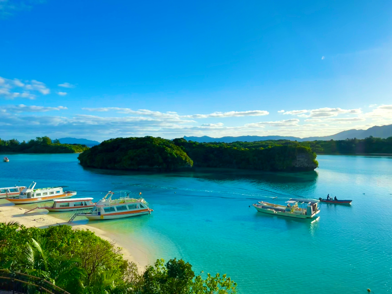 r蓹Ȃ약p܂1ԃChŐiɊI약K[f̂yYł͓dLbN{[h̏[d\łB2܂