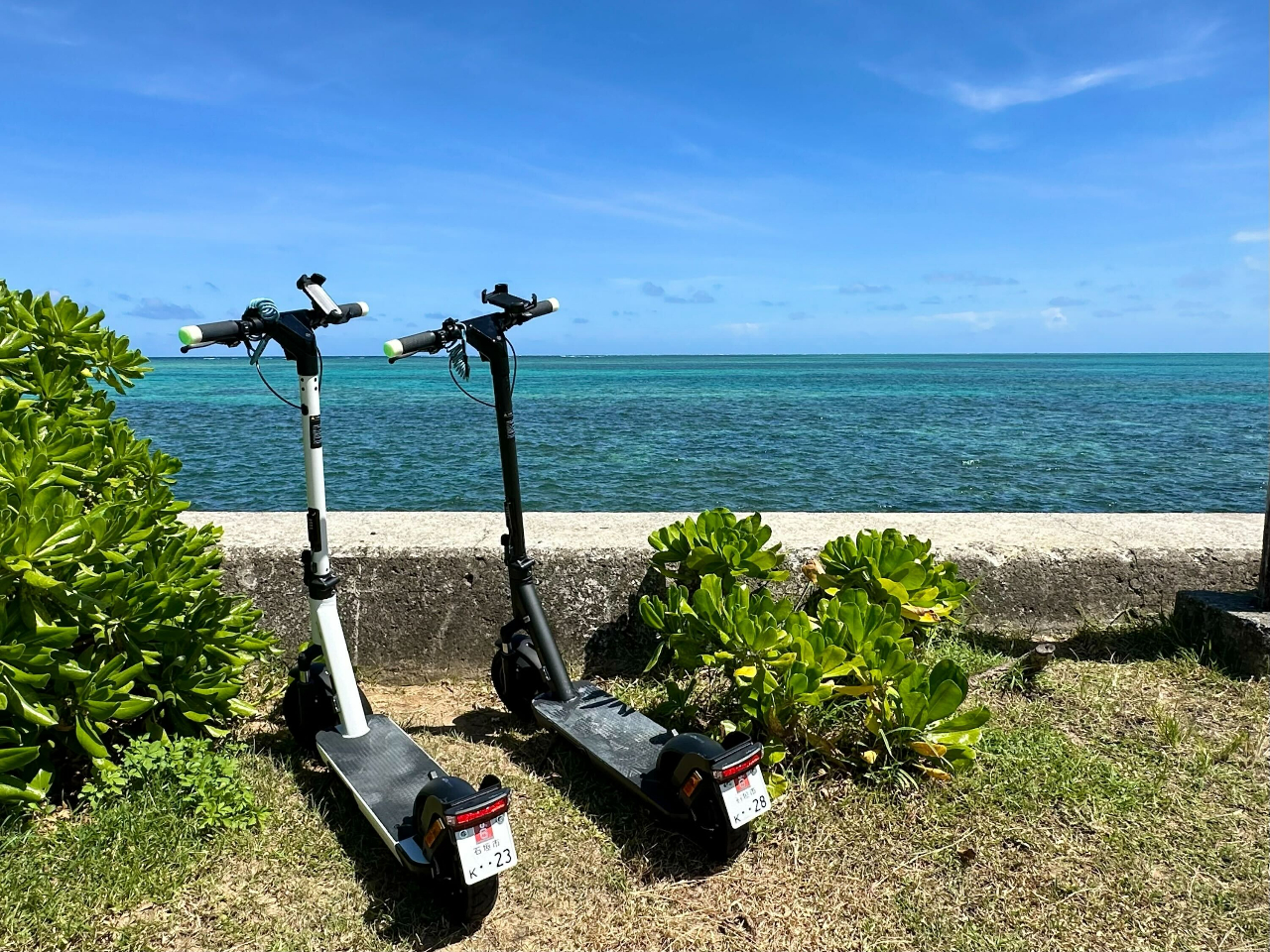 �ړ����̂��̂��A�N�e�B�r�e�B�I���K�y�����d���L�b�N�{�[�h�B