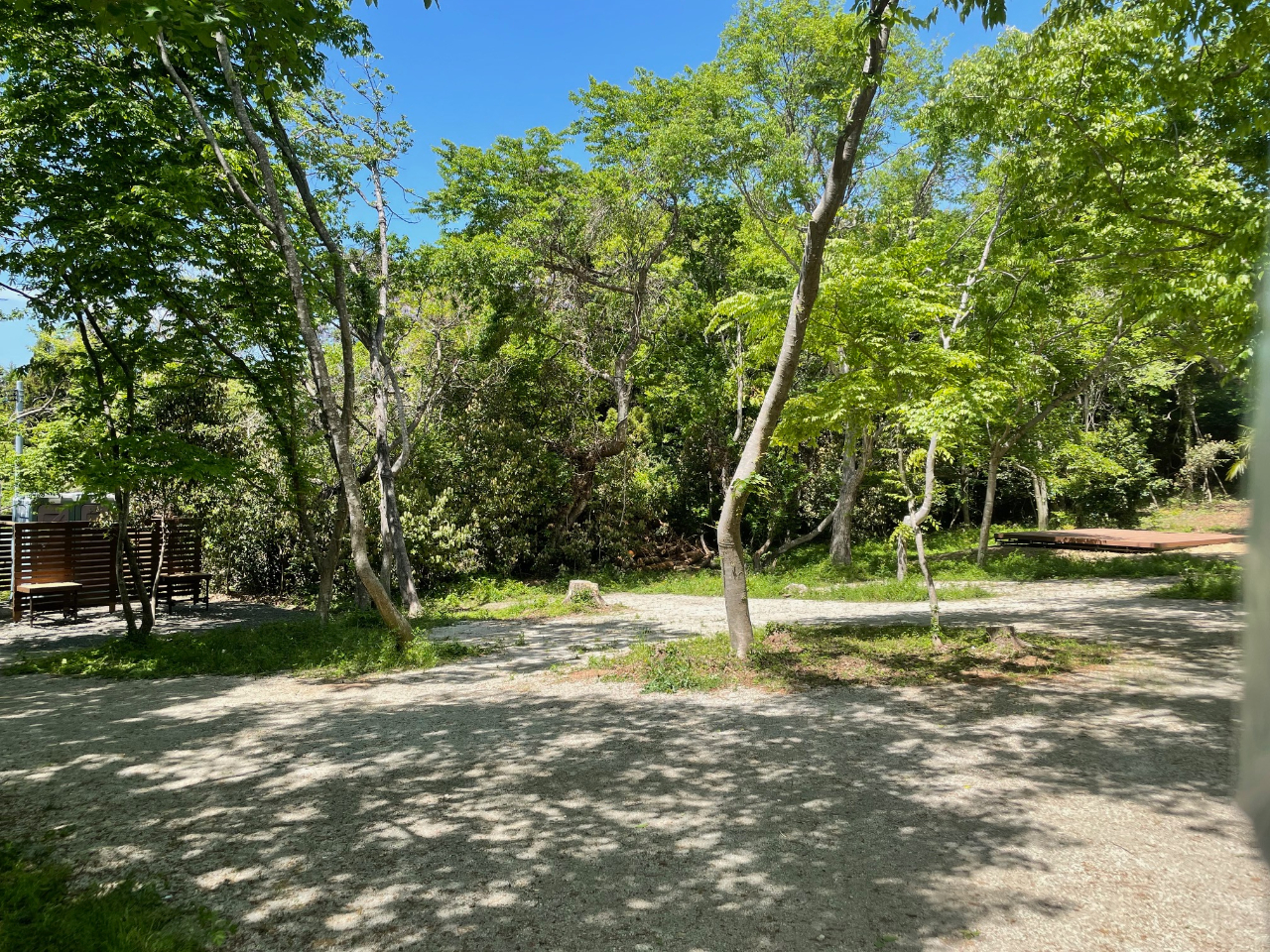 キャンプサイト