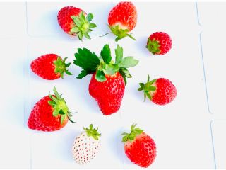伊万里で唯一 9種類の食べ比べができる!