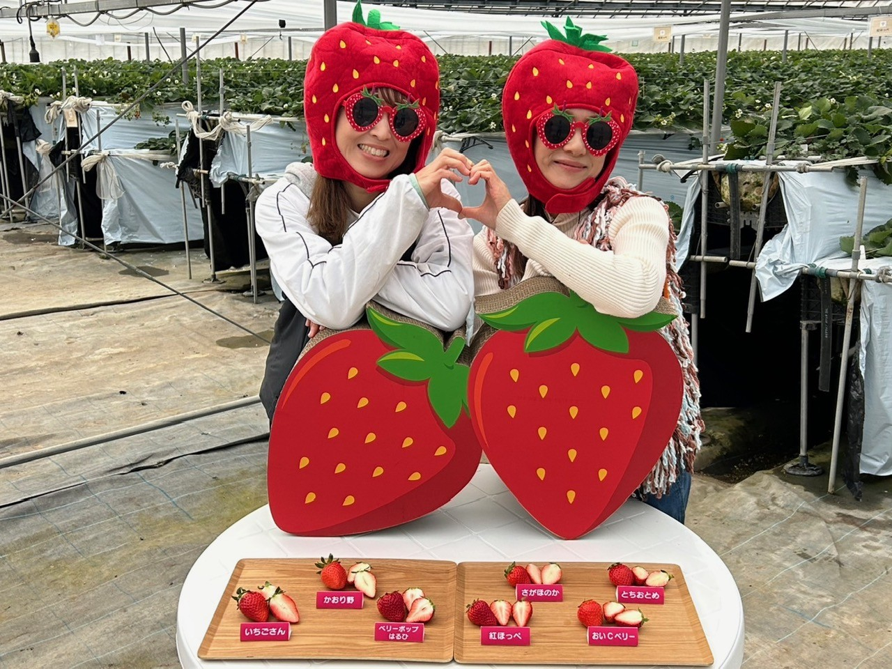 �����e���r�ŏЉ��܂����I