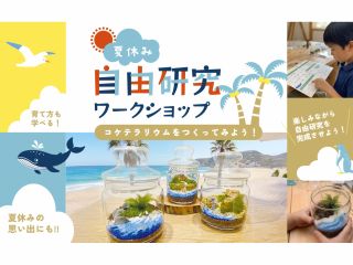 楽しみながら自由研究を完成させよう!