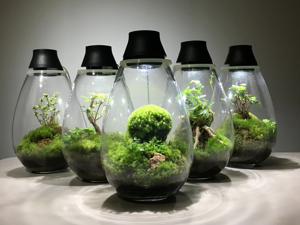 Feel the Garden ���܂������X�̎ʐ^1