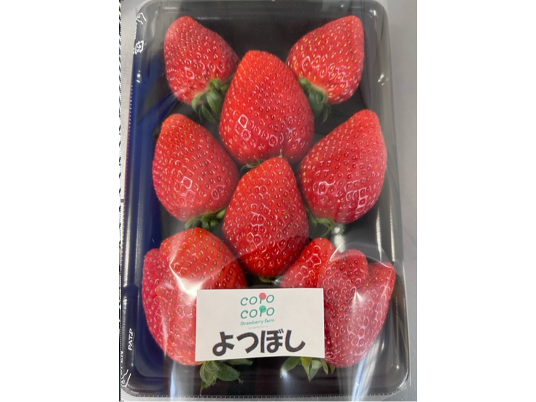 �_���ł́u��ڂ��v�u�������v�u�g�ق��؁v�u�����Ђ߁v��4�i����͔|���Ă��܂�