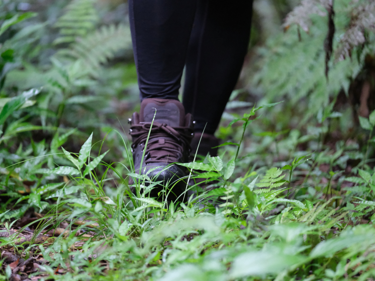 얡Ղ̘[ɍL鈟Mт̐X