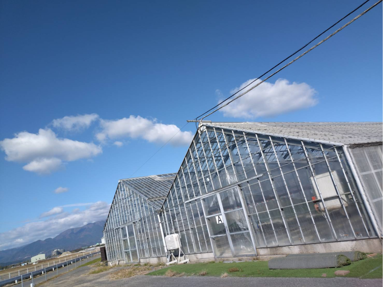 ŽOŠp‰®ª‚̃nƒEƒX‚ª–Úˆó‚Å‚·