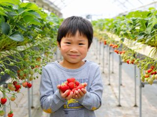 Š®n‚¢‚¿‚²‚ª45•ªŠÔH‚וú‘èô