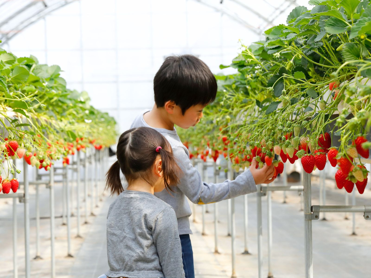 �������̃x���`�͂��q�l�̖ڐ��̍����ɐ݌v����Ă��܂�