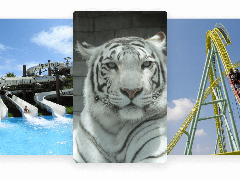 東武動物公園は、動物園と遊園地のほか、「東武スーパープール」、「ハートフルガーデン」を併設し、複数の魅力が融合したハイブリッド・レジャーランドです。