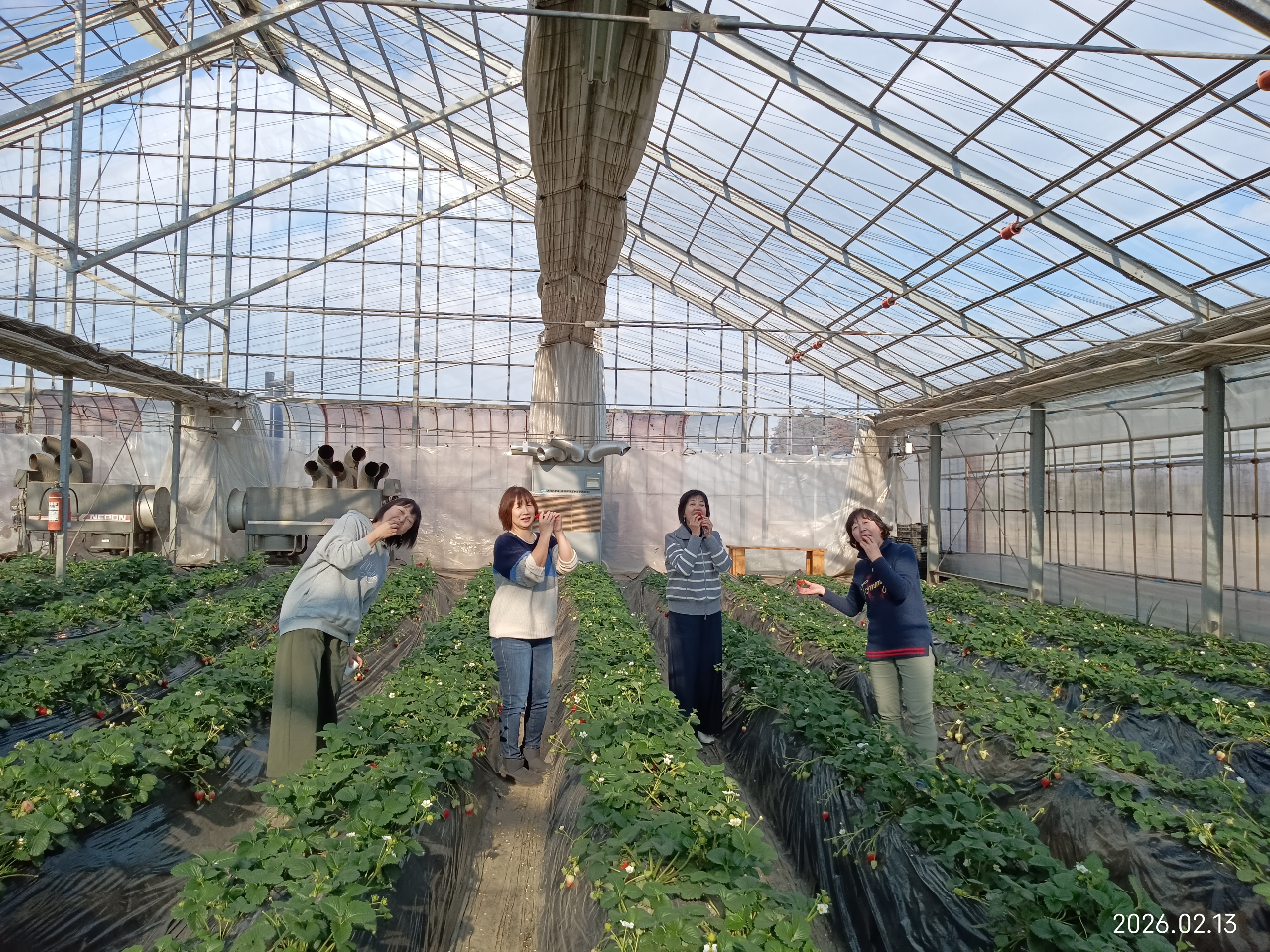 �F�B�ƂƂ����������y����ł��܂��B