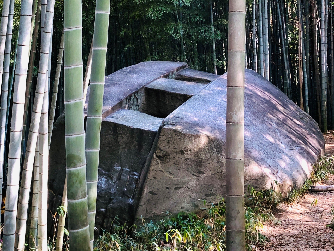 򒹎ォ珺aAČ݂ƁA̗͂j߂cA[B  Rɓ˔@̋΂Ai͓ȂÕiRÕEJÕjEΎ̓ʌwI