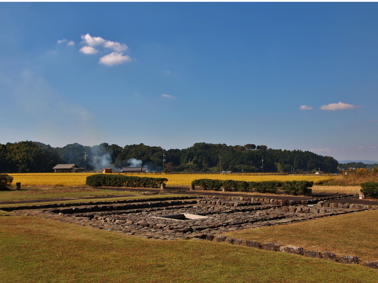 Ñjŋ̑卋Eh䎁䂩̒n߂ȂAӏH̔򒹂܊ŊĂ݂܂񂩁H