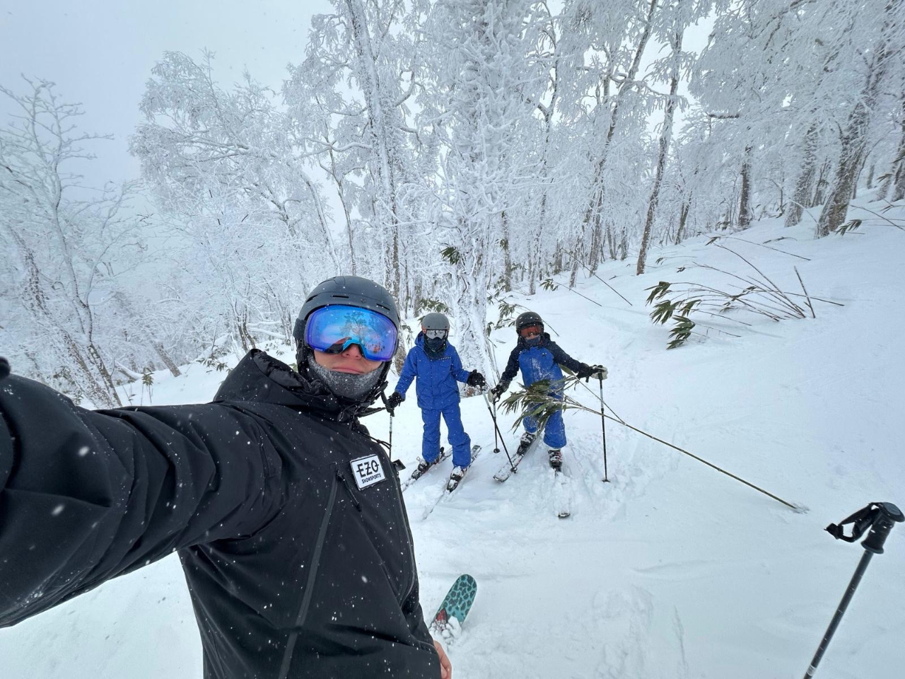 Tree runs!