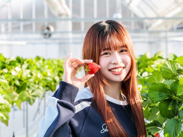 子供から大人まで楽しめる!!!
