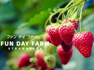 御社では、若い世代へ農業の魅力を発信し農業の新時代を作り上げることが目標です。