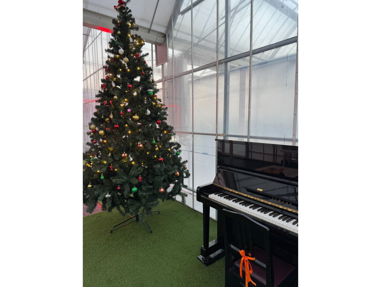 �X�g���[�g�s�A�m�ݒu�I�v���̃s�A�j�X�g�ɂ��Q�������C�u�����邩���I�H