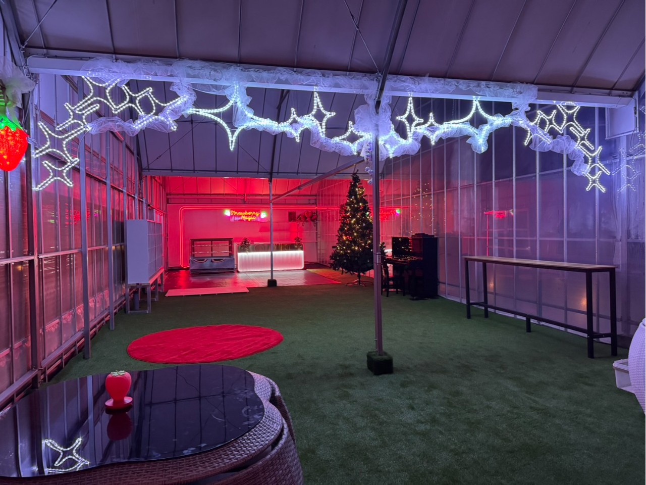 史上初!VIPいちご狩り×ナイトクラブの夜のいちご狩りをNew Open!6品種...