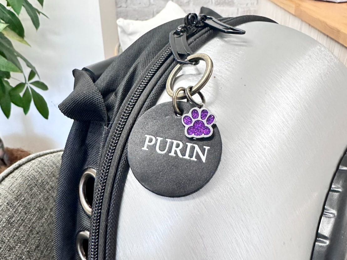 キャリーやお散歩バッグにつけてもかわいいです♪