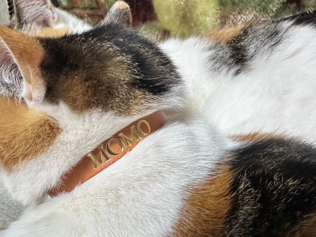 オリジナルのペットグッズが作れます♪