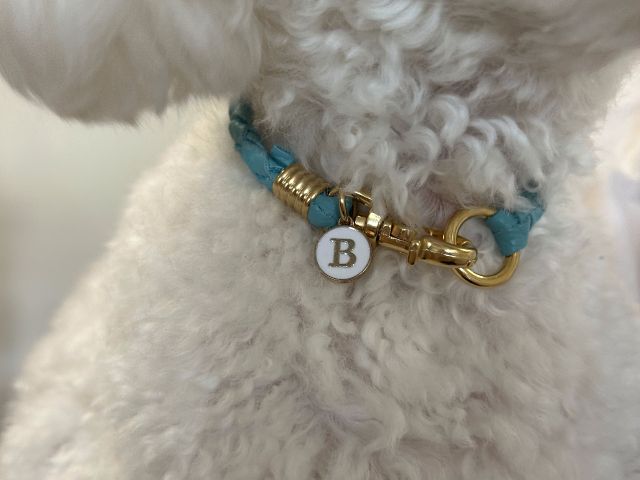 ペット用首輪(超小型犬)