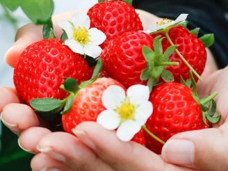 SUNUS VILLAGE�̎ʐ^4