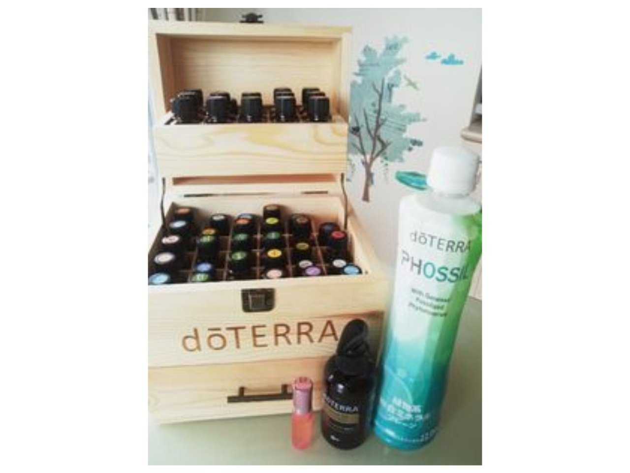 ŋߍJł͘b̐Ã~lꏏɓ邱ƂŔւ̋zAbvȔetȂǂȒPɍ܂I