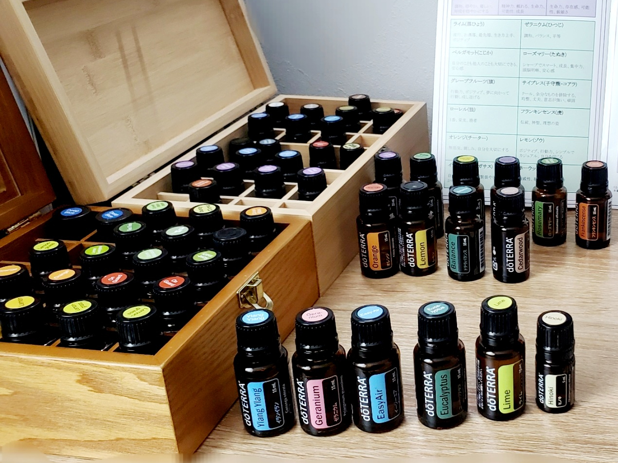 ԌnEnEn[unE،nEknȂǂȂǑR̃ICIׂ܂I