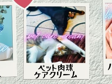 DȃGbZVICgăybgN[ƃybggCLXv[܂I