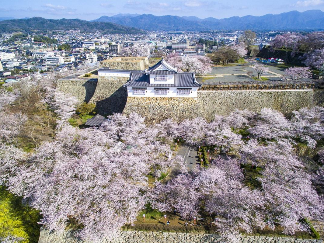 ○入園チケット○津山城～日本100名城・日本さくら名所100選♪～【岡山