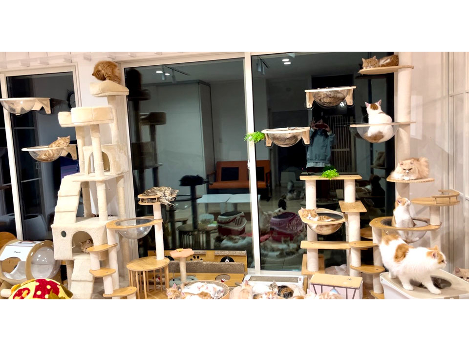 �Ԃ���񂩂�̌�OK�I�Ƒ��݂�ȂŔL�����Ƃ̂ӂꂠ�����y���߂܂���