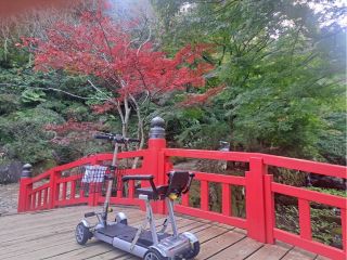 映えポイントまでJOYカートで楽々移動できます。