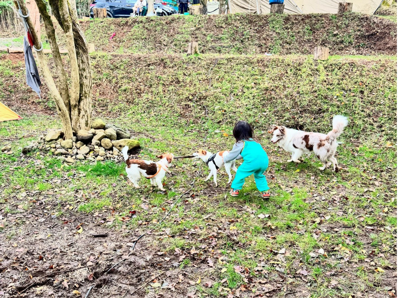 񂿂̂qlƊŔf^VłlqłB~nL̎vVׂ܂I