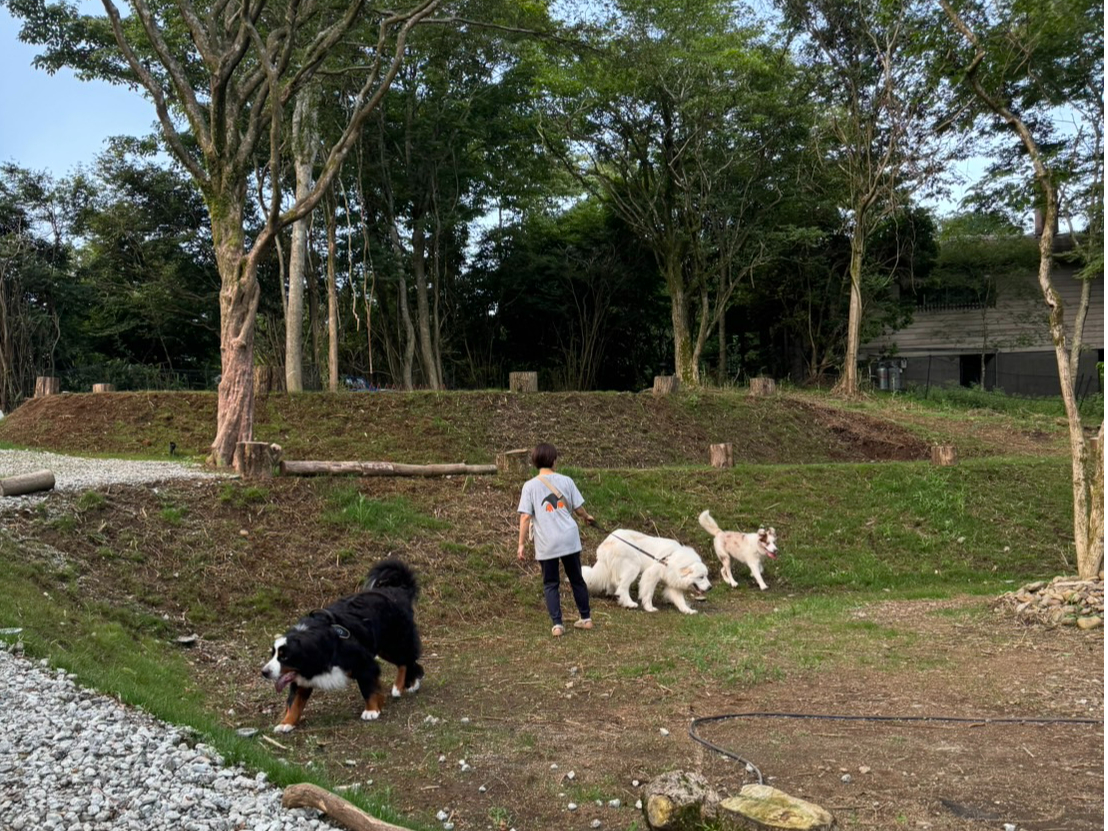 大型犬ものびのびできます!