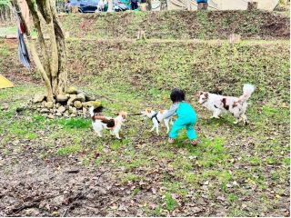 わんちゃんのお客様と看板犬デルタが遊んでいる様子です。敷地が広いの思う存分遊べます!