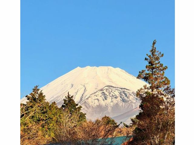 十里木フジドッグから見える雪化粧の富士山