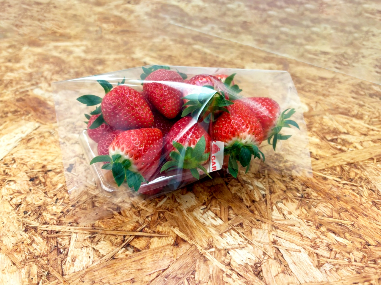 新鮮いちごの摘み取り＆お土産プラン＼滋賀県オリジナル品種「みお