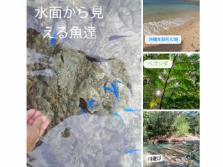海、川、森、山で思いっきり遊んで強い身体をつくろう!