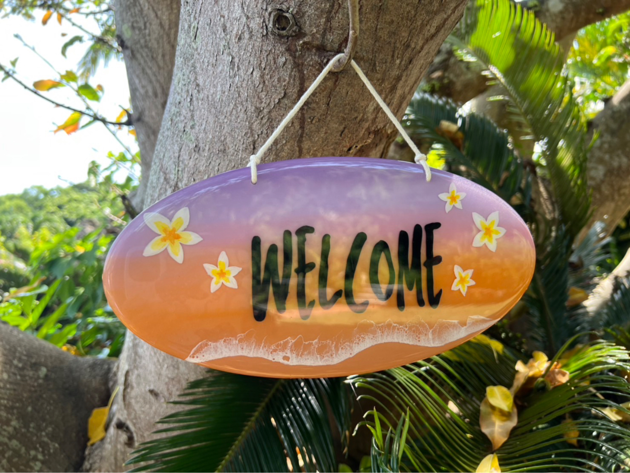 �W���x�G�U���{�[�h