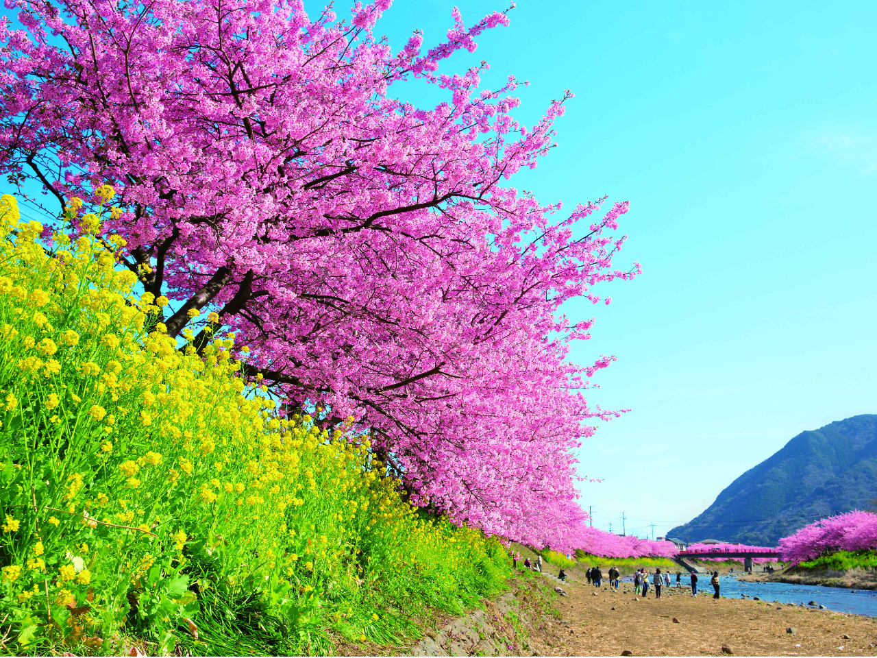 �͒Í��i�C���[�W�j