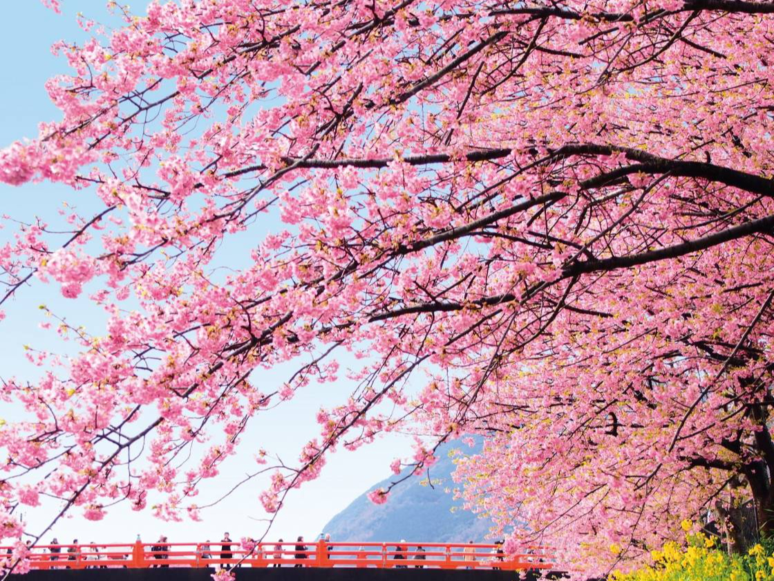 �͒Í��i�C���[�W�j