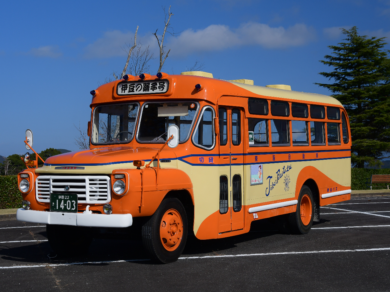 【三島駅北口×ボンネットバス「伊豆の踊子号」で行く】江間いちご狩り30分食べ放題...