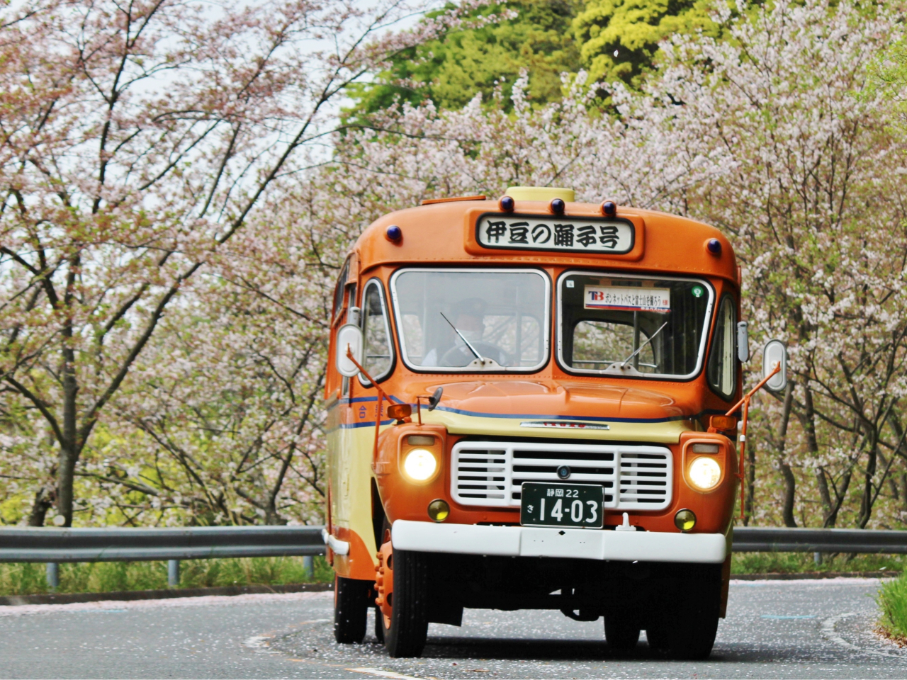 �{���l�b�g�o�X�u�ɓ��̗x�q���v